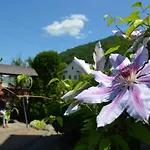 Vendégház Fachwerk Jaremcse