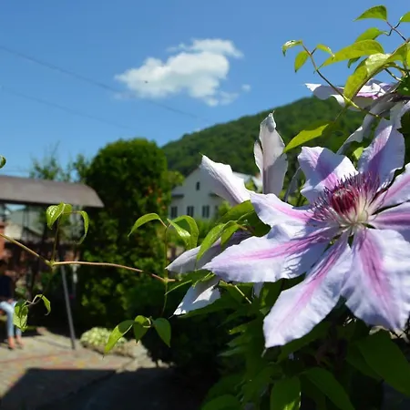 Pensjonat Fachwerk Jaremcze