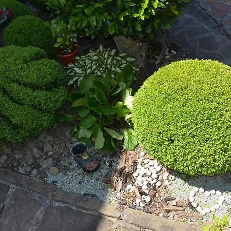 Pensionat Fachwerk Jaremtje